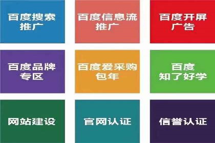 整合SEO与SEM，打造品牌营销新模式——案例研究